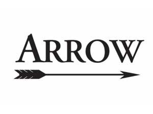 Arrow Men Shirts