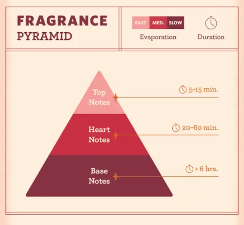 Fragrance Pyramid