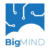 BigMind