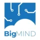 BigMind