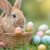 Easter Coupons