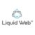 Liquid Web Coupons